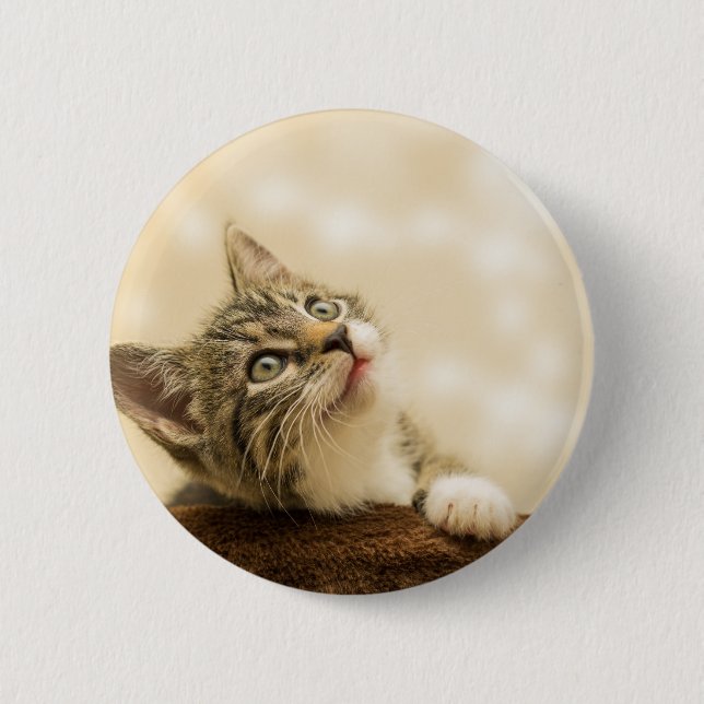 Niedliches Kitten mit ausgestreckter Pfote Button (Vorderseite)