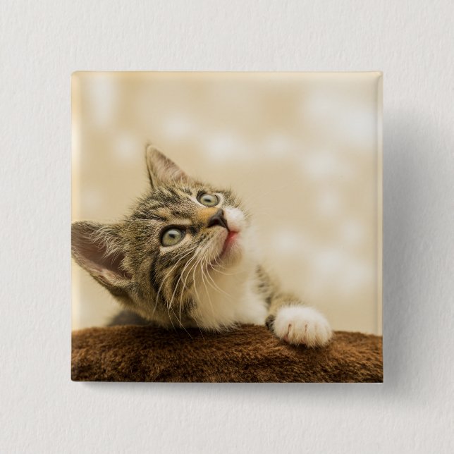 Niedliches Kitten mit ausgestreckter Pfote Button (Vorderseite)