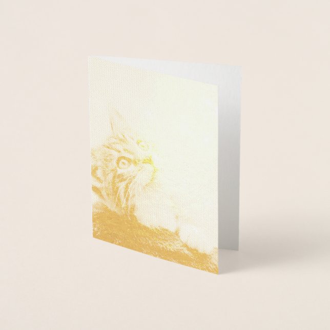 Niedliches Kitten mit ausgestreckter Pfote Folienkarte (Vorderseite)