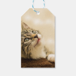 Niedliches Kitten mit ausgestreckter Pfote Geschenkanhänger