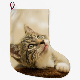 Niedliches Kitten mit ausgestreckter Pfote Großer Weihnachtsstrumpf