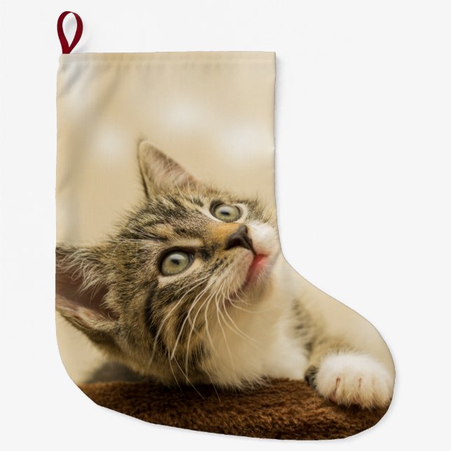 Niedliches Kitten mit ausgestreckter Pfote Großer Weihnachtsstrumpf (Vorderseite)