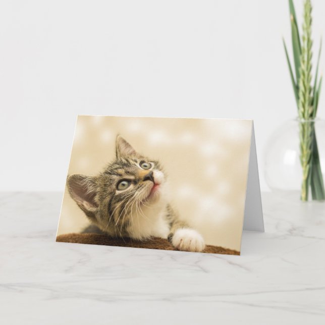 Niedliches Kitten mit ausgestreckter Pfote Karte (Vorderseite)
