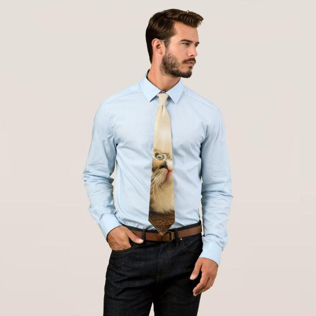 Niedliches Kitten mit ausgestreckter Pfote Krawatte (Beispiel)