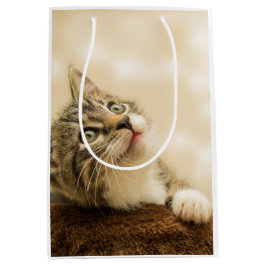 Niedliches Kitten mit ausgestreckter Pfote Mittlere Geschenktüte