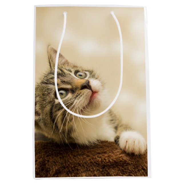 Niedliches Kitten mit ausgestreckter Pfote Mittlere Geschenktüte (Vorderseite)