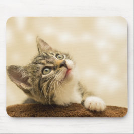 Niedliches Kitten mit ausgestreckter Pfote Mousepad