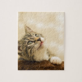 Niedliches Kitten mit ausgestreckter Pfote Puzzle