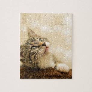 Niedliches Kitten mit ausgestreckter Pfote Puzzle