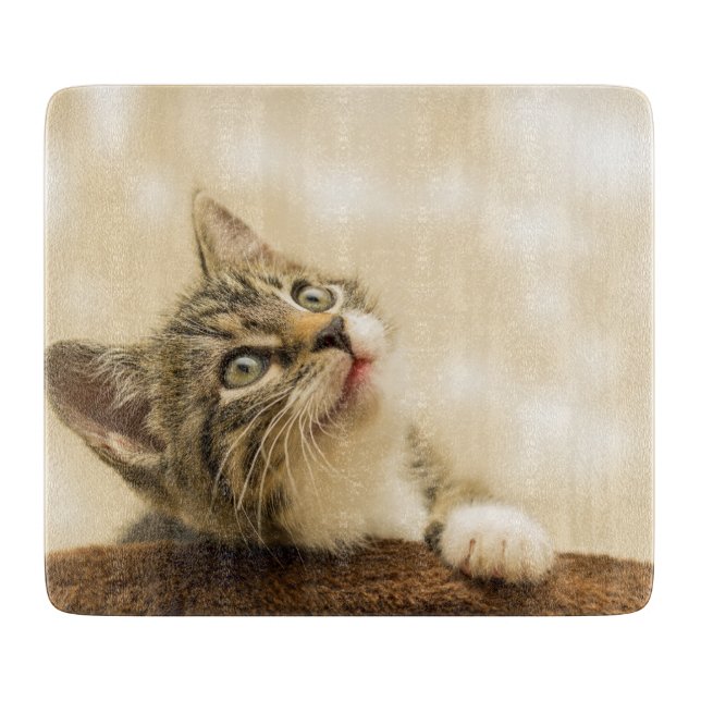 Niedliches Kitten mit ausgestreckter Pfote Schneidebrett (Vorderseite)