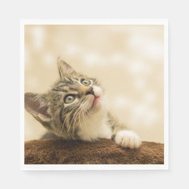 Niedliches Kitten mit ausgestreckter Pfote Serviette (Vorderseite)