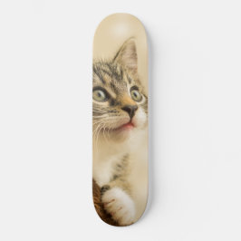Niedliches Kitten mit ausgestreckter Pfote Skateboard