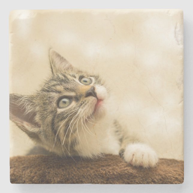 Niedliches Kitten mit ausgestreckter Pfote Steinuntersetzer (Vorderseite)