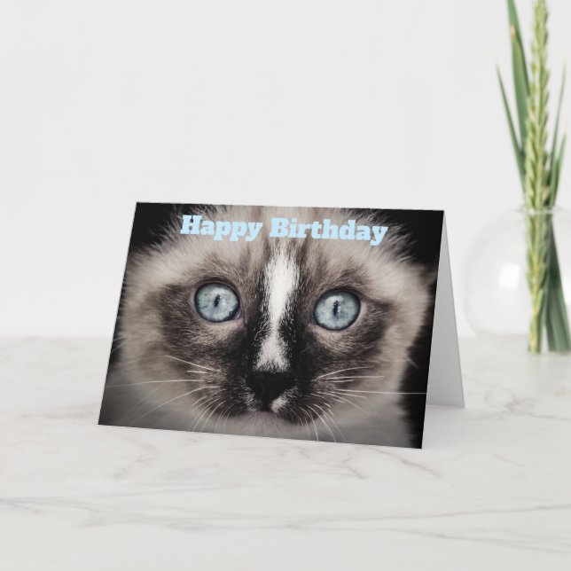 Niedliches Kitten mit Blue Eyes Happy Birthday Karte (Vorderseite)