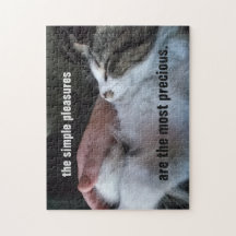 Niedliches Kittenangebot Einfache Vergnügen am Wer