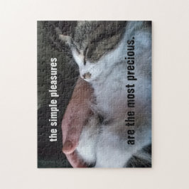 Niedliches Kittenangebot Einfache Vergnügen am Wer Puzzle