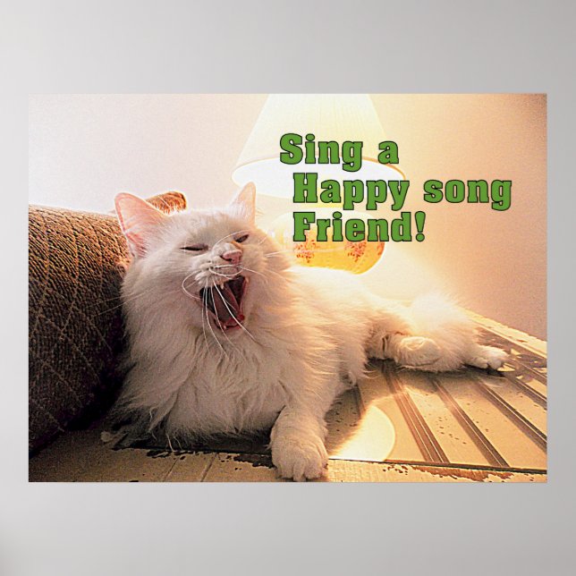 niedliches Kitty Poster singen (Vorne)