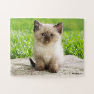 Niedliches Kitty-Puzzlespiel Puzzle