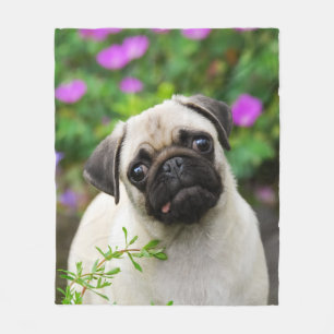 Niedliches Kitz-Mops-Welpen-Hündchen, Komfort Fleecedecke