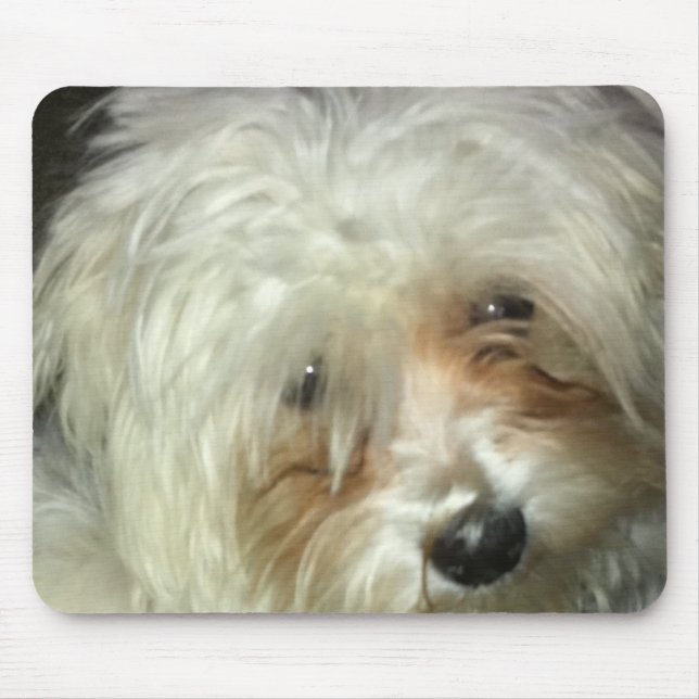 Niedliches kleines Casper Mousepad (Vorne)