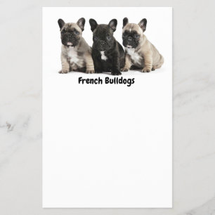 Niedliches kleines französisches Bulldog-Label Flyer