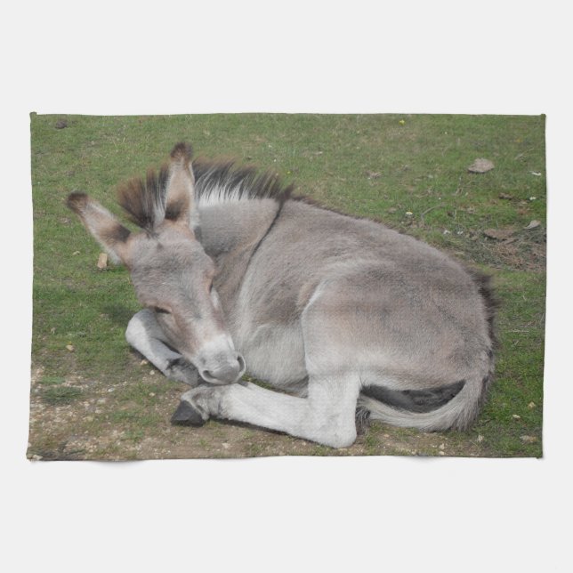Niedliches kleines graues Donkey-Baby-Fohlen abgel Geschirrtuch (Horizontal)