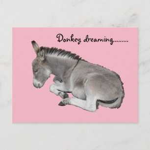 Niedliches kleines graues Donkey-Baby-Fohlen-Schla Postkarte