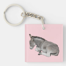 Niedliches kleines graues Donkey-Baby-Fohlen-Schla