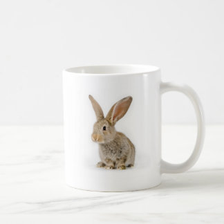 Niedliches kleines Kaninchen Tasse