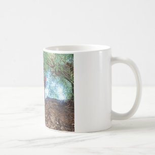 Niedliches kleines Kätzchen, das im Wald spielt Tasse