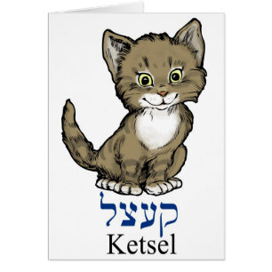 niedliches kleines Kätzchen "ketsel" auf Yiddish