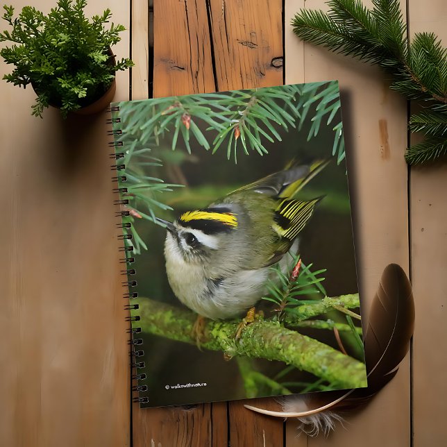Niedliches Kleines Kinglet verursacht eine Stir in Notizblock (Cute Golden-Crowned Kinglet Causes a Stir on the Fir Journal Cover Photo)
