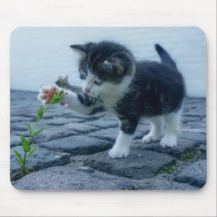 Niedliches Kleines Kitten mit Blume Mousepad
