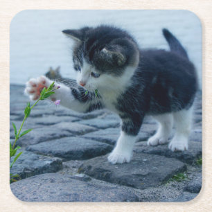 Niedliches Kleines Kitten mit Blume Rechteckiger Pappuntersetzer