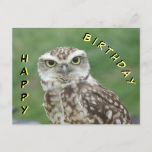 Niedliches kleines Owl Happy Geburtstagskarte Postkarte
