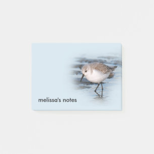 Niedliches Kleines Sanderling am Strand Post-it Klebezettel