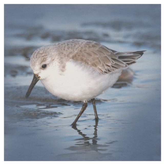 Niedliches Kleines Sanderling am Strand Stoff (Muster)