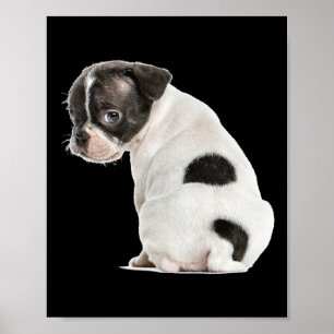 Niedliches kleines schlankes Hundebiss für Tiere Poster