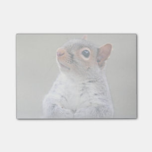 Niedliches kleines weiches und flaumiges graues post-it klebezettel