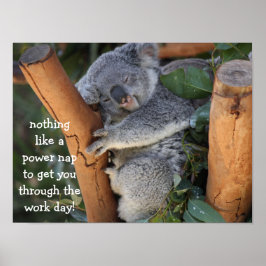 Niedliches Koala-Bärenposter (16x12), Power-Nicker Poster