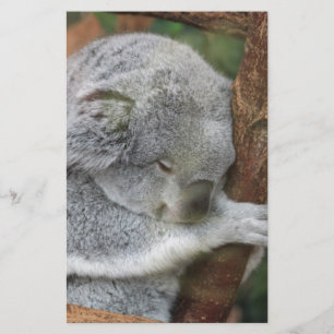 Niedliches Koala-Bärn-Duschen-Büro-Party Briefpapier