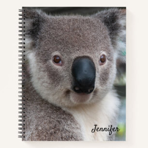 Niedliches Koala Bear Spiral Notebook Notizbuch