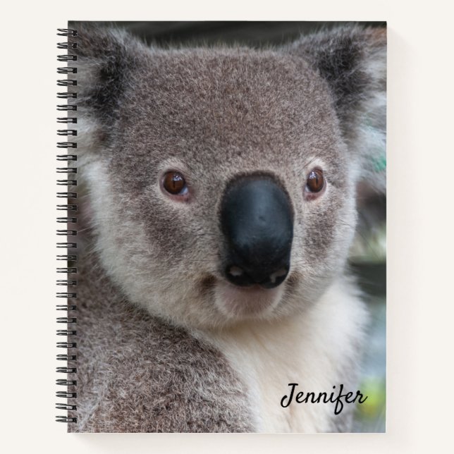 Niedliches Koala Bear Spiral Notebook Notizbuch (Vorderseite)