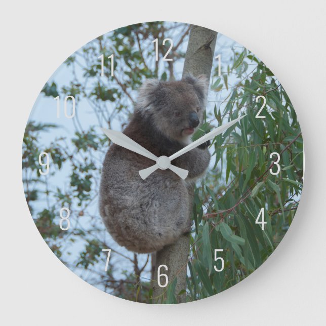 Niedliches Koala Klettern in einem Baum Australien Große Wanduhr (Vorderseite)