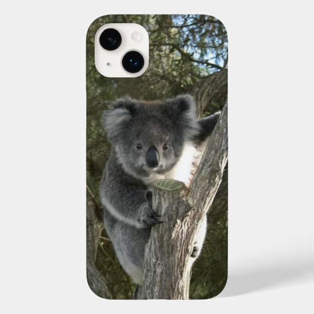 Niedliches Koala Kletterparadies für Kletterhexen: Case-Mate iPhone Hülle (Rückseite)