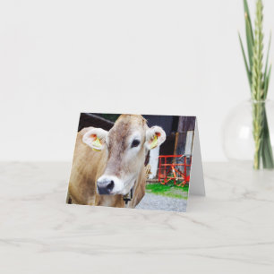 Niedliches Kuh notecard Karte