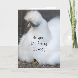 Niedliches Küken/Huhn Mutterkarte Sonntag Karte