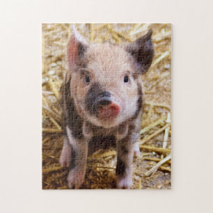 Niedliches Kune Piglet Puzzle
