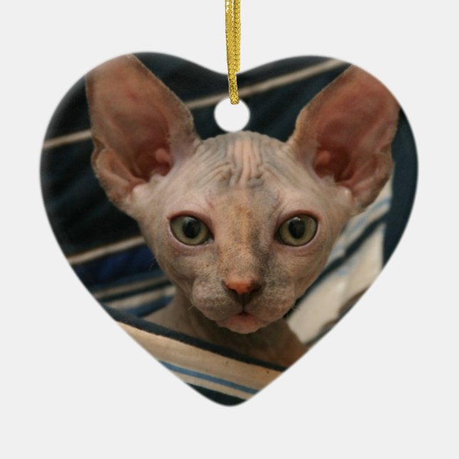 Niedliches Kuriositäten sphynx Kätzchen Keramikornament (Vorne)