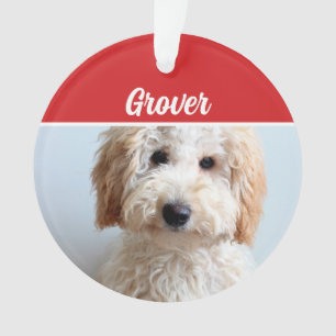 Niedliches Labradoodle Dog Weihnachtsfeiertag Foto Ornament